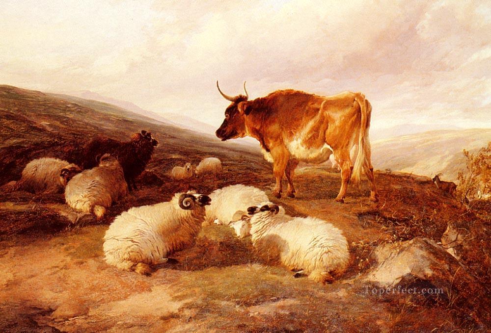 Rams And A Bull In A Highland Landscape farm animals cattle Thomas Sidney Cooper Oil Paintings
